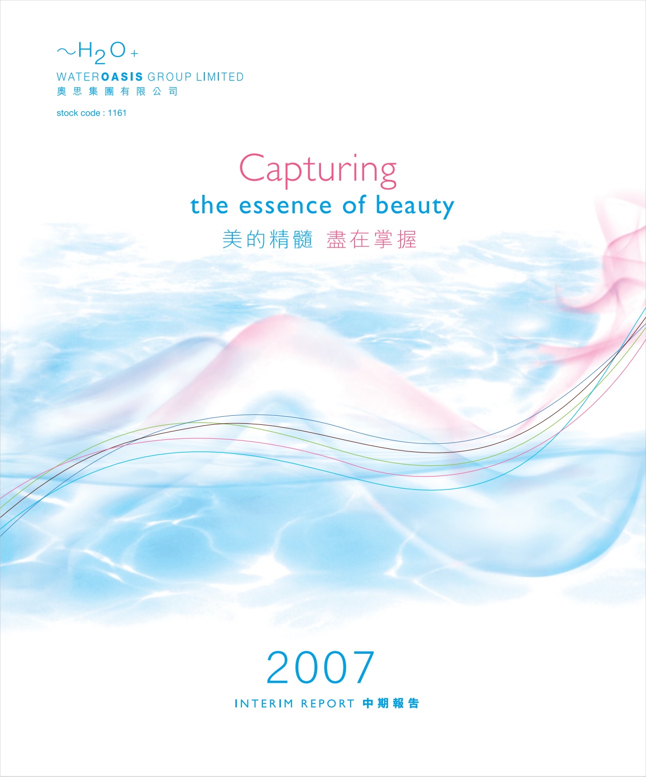 Interim Report 2007
