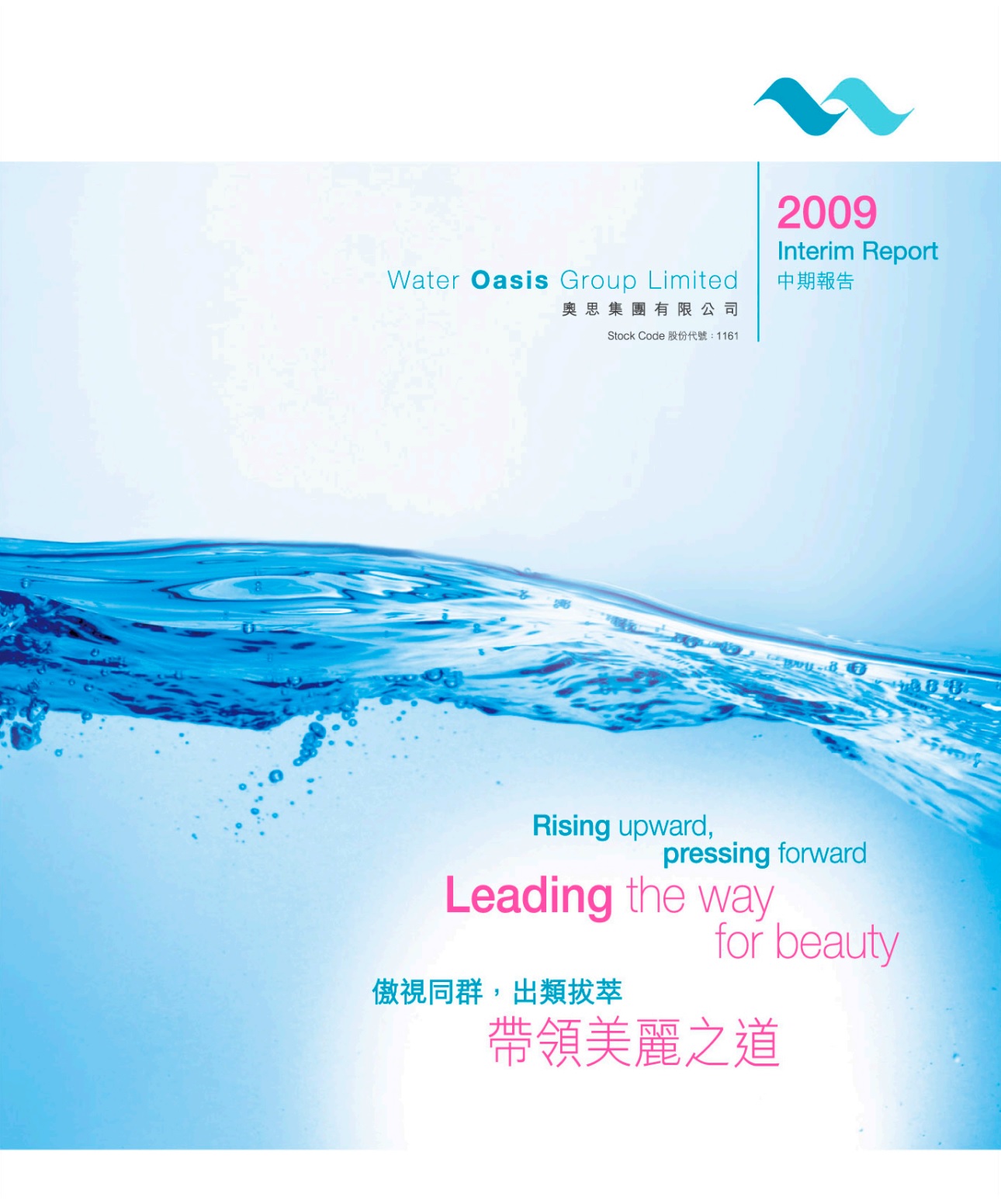 Interim Report 2009