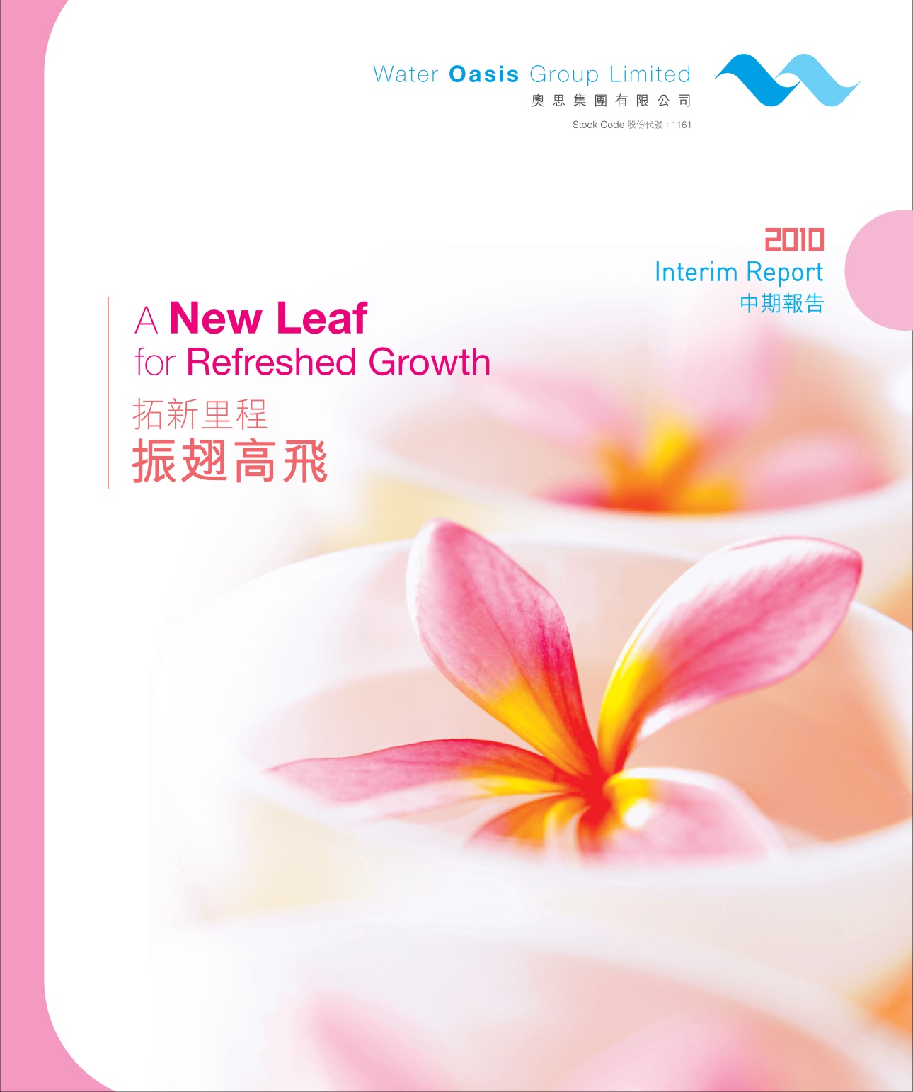 Interim Report 2010