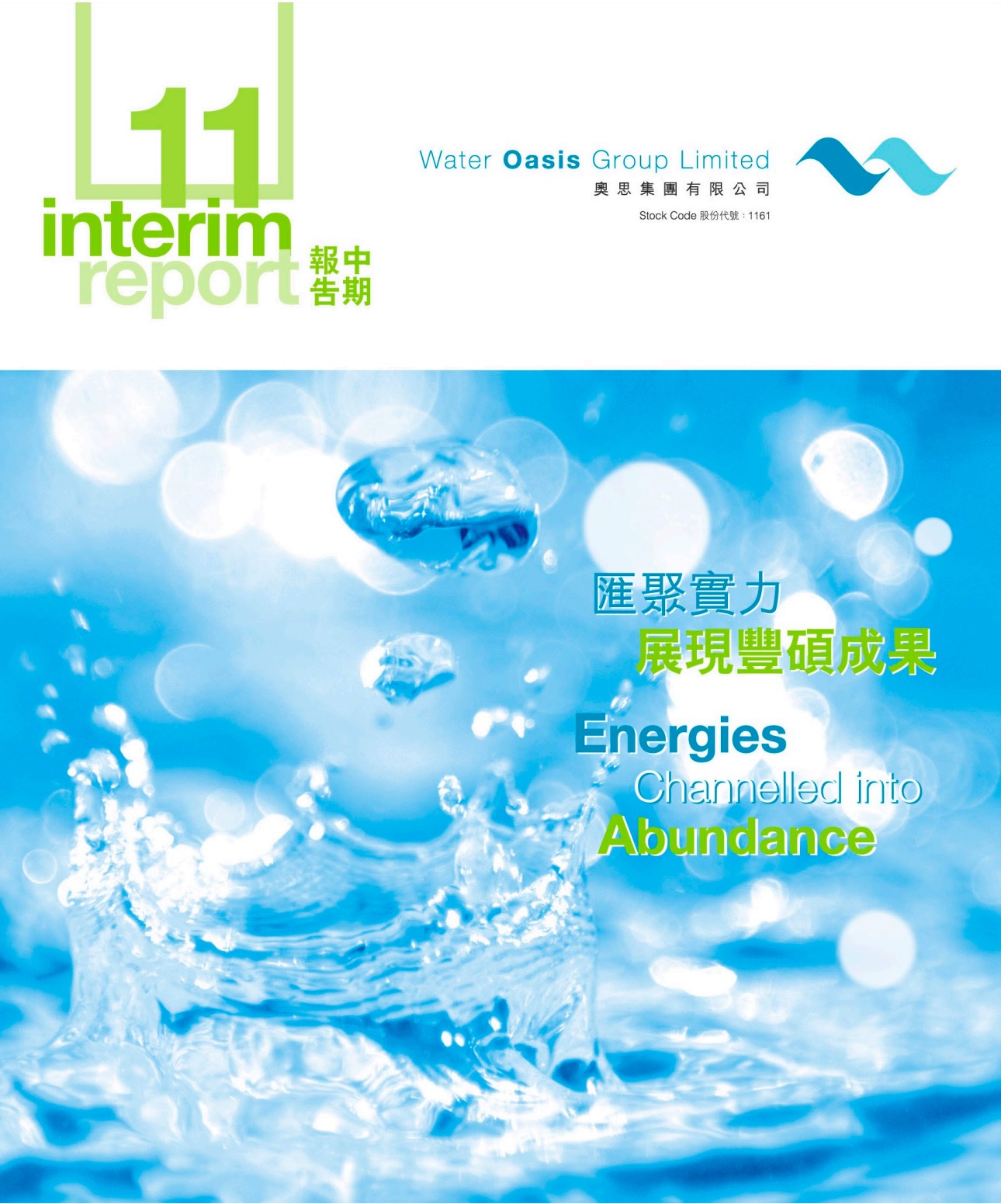 Interim Report 2011