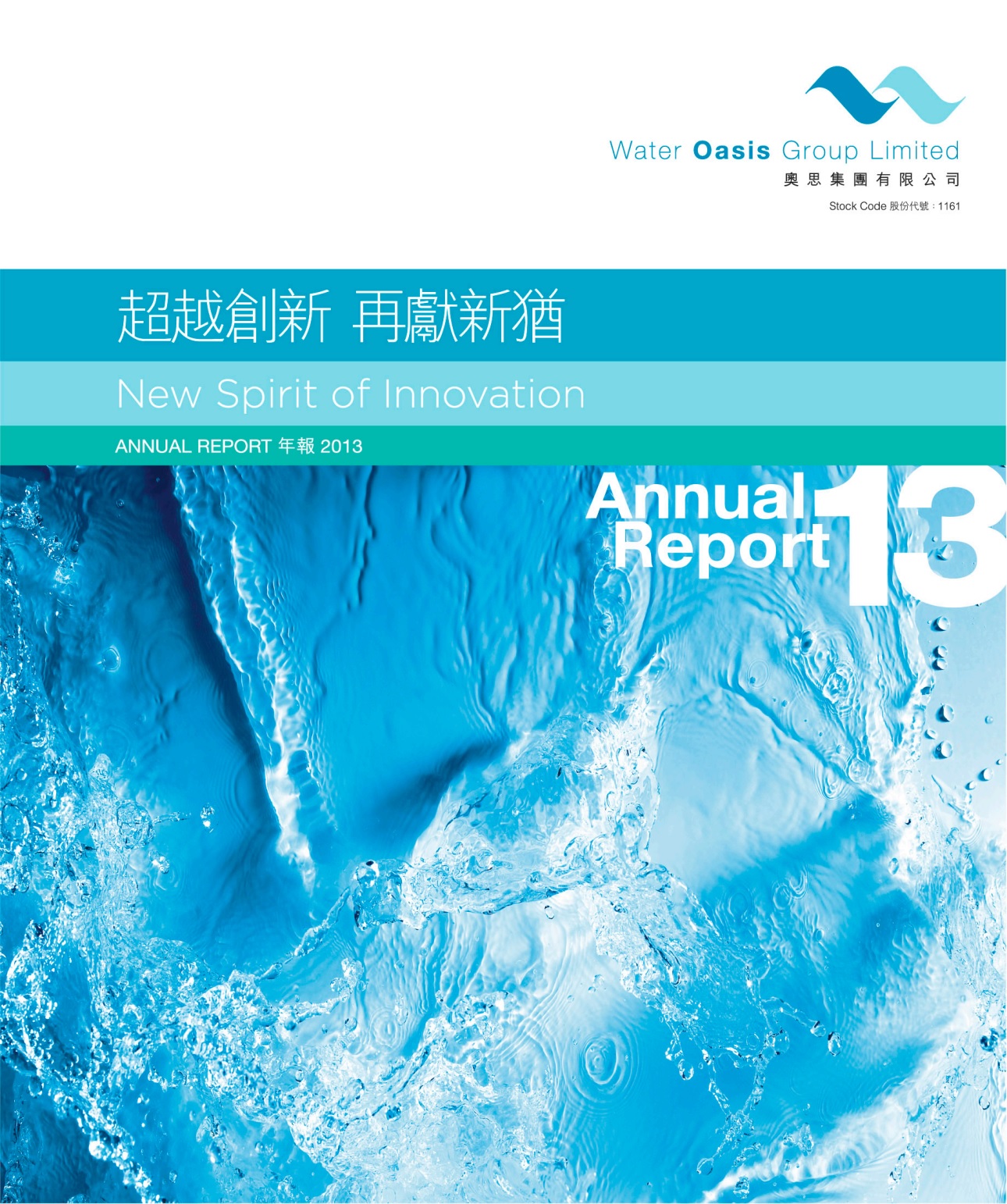 Annual Report 2013